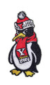 Youngstown  State Penguins