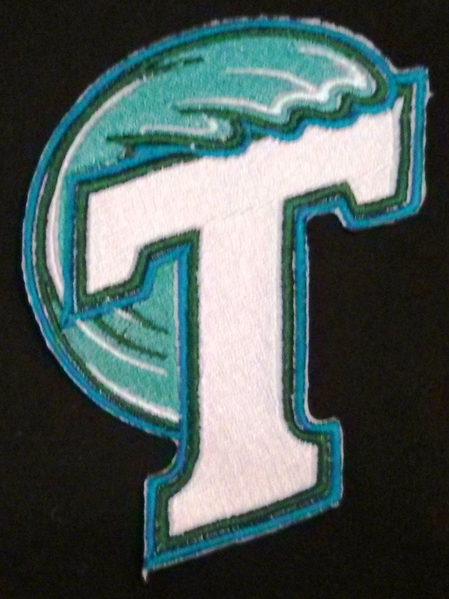 Tulane Green Wave Logo Iron On Patch Beyond Vision Mall