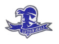 Seton Hall Pirate 