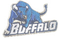 Buffalo Bulls Logo Iron On Patch