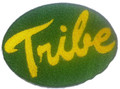 William And Mary Tribe Logo Iron On Patch