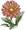 Tuberous Begonia   