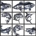 Beautiful Sketched Fish Collection Embroidered Iron On Patch