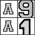 Collegiate Font LettersAnd Numbers Collection (Letters) Iron On Patch