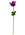 24" Total Length Poppy With Petals