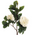 Real Touch Artificial Gardenia Flowers