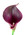 Dark Purple
