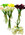 Real Touch Floramatique Mini Calla Lilies