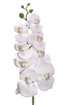 Real Touch Artificial Phalaenopsis Orchids