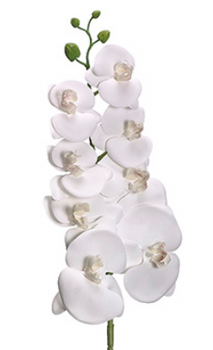 Real Touch Artificial Phalaenopsis Orchids