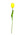 Mini Tulip With Stem