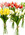 Real Touch Artificial Mini Tulip Flowers