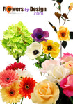 Free Real Touch Flower Samples from Flowers by Design!