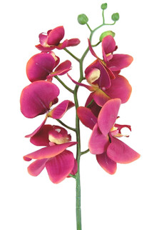 Real Touch Phalenopsis Orchid Spray Artificial Flower