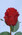 Real Touch Garden Rose Bud - Red