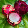 Pitaya Fruitlighter by Clionadh Cosmetics