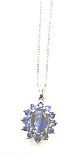 Himalayan Kyanite and Blue Sapphire Pendant