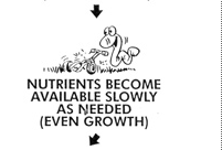 Nutrients become available as needed (even growth)