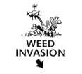 Weed Invasion