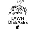 Lawn diseases