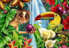 Rainforest Life Puzzle
