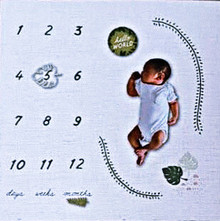 Baby Milestone Blanket