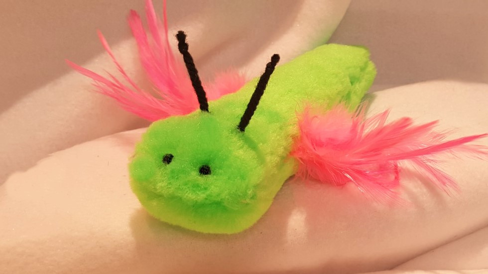 Fun feather winged, catnip filled Dragonfly..