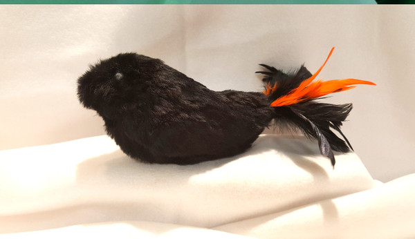 Catnip filled Halloween Raven...Oh so fun!