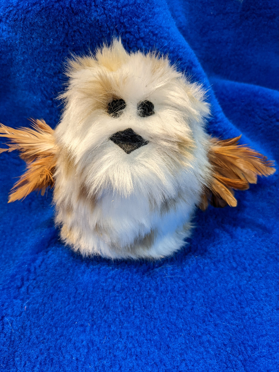 Fun furry baby owl with playful feather wings and catnip.