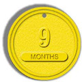 9 Months Yellow Chip