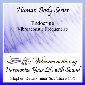 2.endocrine-cd-image.png