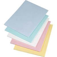 Texwipe TX5812 22# Blue paper  sheets