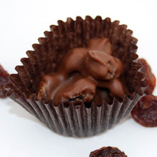 Dietetic Milk Chocolate Raisin Cluster