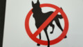 A 5 METAL SIGN NO DOGS