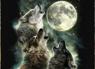 3 wolves moon shirt