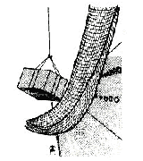 Impa 2321xx Gangwaynet 300x 500 Cm Rim Rope 12 Mm Mesh Rope 3 Mm Mesh 100 Mm