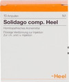 Solidago Comp. Ampullen (Ampoules) 10 x 2ml