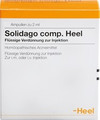 Solidago Comp. Ampullen (Ampoules) 100 x 2ml