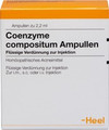 Coenzyme Comp Ampullen (Ampoules) 100 x 2.2ml