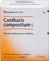 Cantharis Compositum S Ampullen (Ampoules) 10 x 2.2 ml
