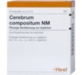 Cerebrum Compositum NM Ampullen (Ampoules) 10 x 2.2 ml