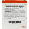 Cerebrum Suis Ampullen (Ampoules) 10x1.1 ml