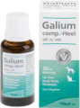 Galium Comp Vet (Animal Care) Tropfen (Drops) 1 x 30ml Bottle
