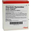 Glandula Thyreoidea Suis Ampullen (Ampoules) 10 x 1.1ml