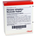 Herpes Simplex Nosode Ampullen (Ampoules) 10x1.1ml