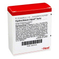 Hydrochonin Forte Ampullen (Ampoules) 10 x 1.1ml