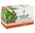 Bombastus Blasen & Nierentee (Bladder & Kidney Tea) 20 x 2g