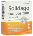 Solidago Comp Vet (Animal Care) Ampullen (Ampoules) 10 x 2.2ml