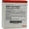 Splen Suis Ampullen (Ampoules) 10 x 1.1ml