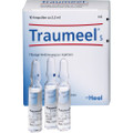Traumeel S Ampullen (Ampoules) 10 x 2.2ml